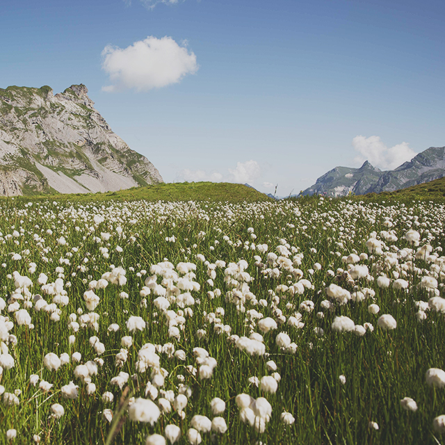 アイデンティティ